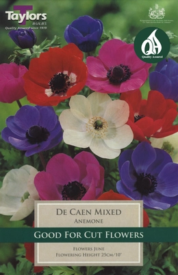 Pre Packs Bee Friendly Anemone De Caen Mixed 4-5