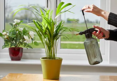 Pressure Mister  1.2L - image 1