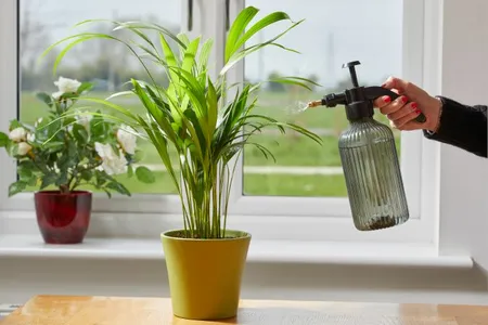 Pressure Mister  1.2L - image 3