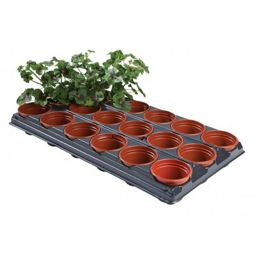 Professional Potting on Tray