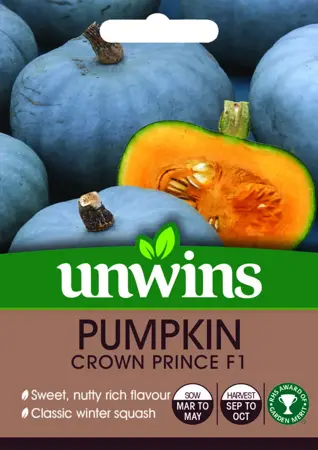 Pumpkin Crown Prince - image 1