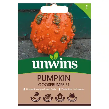 Pumpkin Goosebumps F1