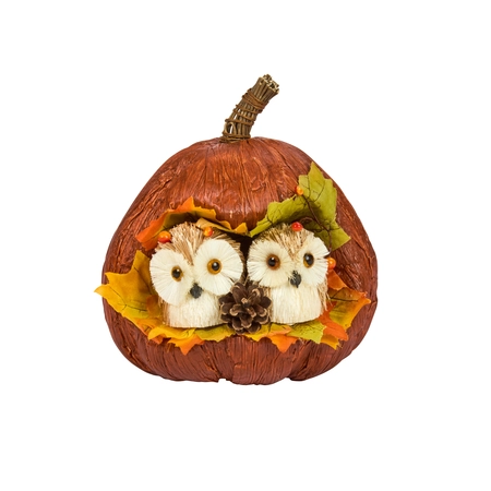 Pumpkin Pals - image 1
