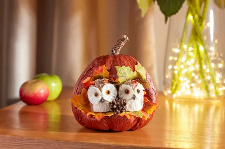 Pumpkin Pals - image 3