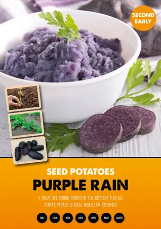 Purple Rain 2kg