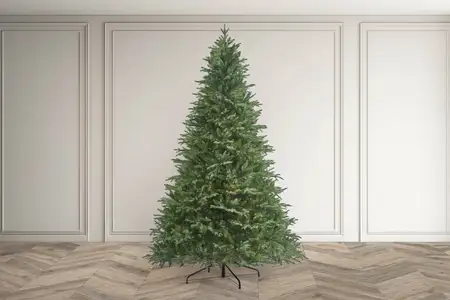 Pyrenees Fir - 7.5Ft Tree - image 1