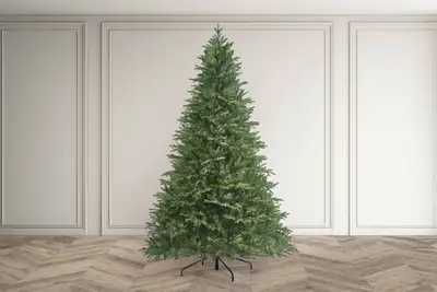 Pyrenees Fir - 7.5Ft Tree - image 3