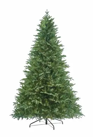 Pyrenees Fir - 7.5Ft Tree - image 3