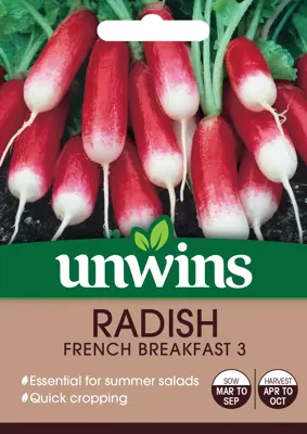 Radish French Breakfast 3 - image 2
