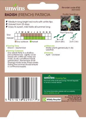 Radish French Patricia - image 2