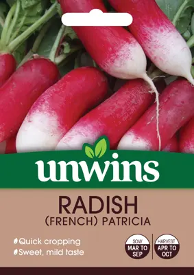 Radish French Patricia - image 1