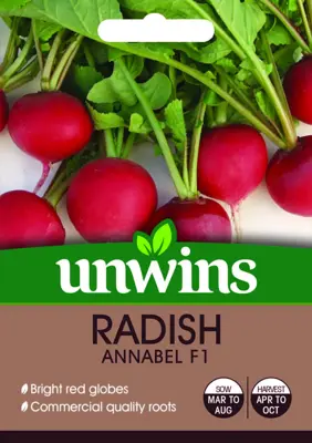 Radish (Globe) Annabel F1 - image 2