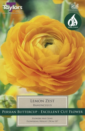 Ranunculus Lemon Zest 5-6 P/P - image 2