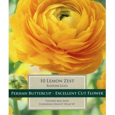 Ranunculus Lemon Zest 5-6 P/P - image 1