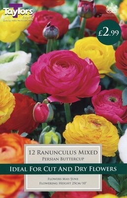 Ranunculus Mixed 5-6