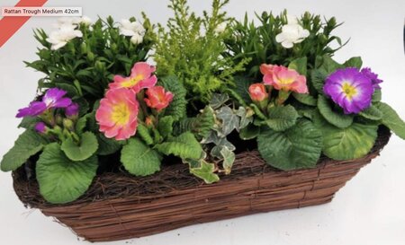 Rattan Trough Medium 42cm