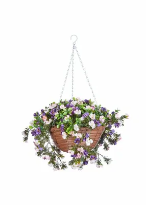 Regal Basket - Petunias - image 2