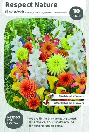 Respect Nature - Fire Work