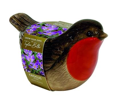 Robin Planter