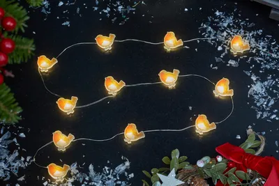 Robin String Lights - Set of 20