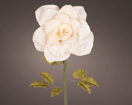 Rose BO Indoor Cream W.40cm x H.120cm - image 1