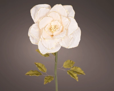 Rose BO Indoor Cream W.40cm x H.120cm - image 1