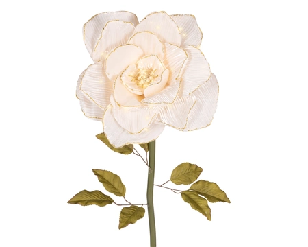 Rose BO Indoor Cream W.40cm x H.120cm - image 2