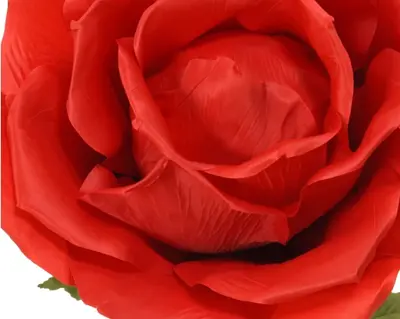 Rose Polyester Red H136.00cm red - image 2
