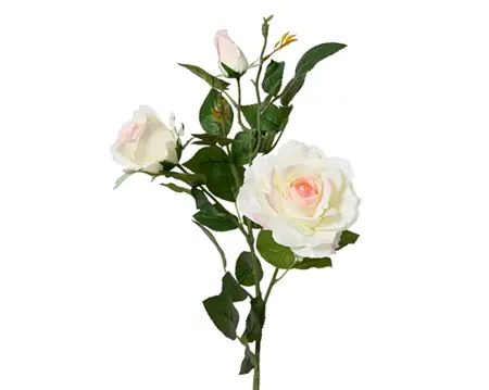 Rose Rose On Stem Polyester 2 Flower Head  H77.00cm cream