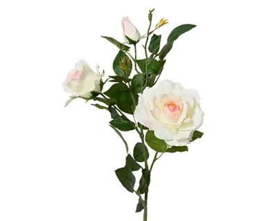 Rose Rose On Stem Polyester 2 Flower Head  H77.00cm cream