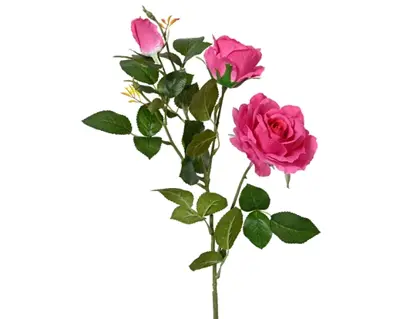 Rose Rose On Stem Polyester 2 Flower Head H77.00cm dark pink