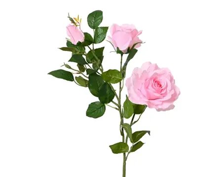 Rose Rose On Stem Polyester 2 Flower Head  H77.00cm pink