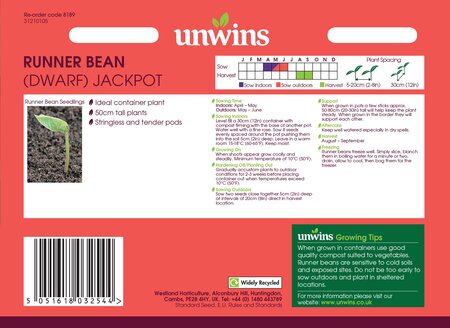 Runner Bean (Dwarf) Jackpot - image 2