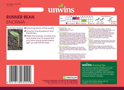 Runner Bean Enorma - image 2