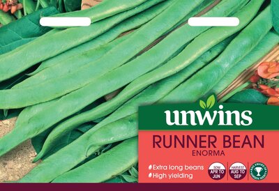 Runner Bean Enorma - image 1