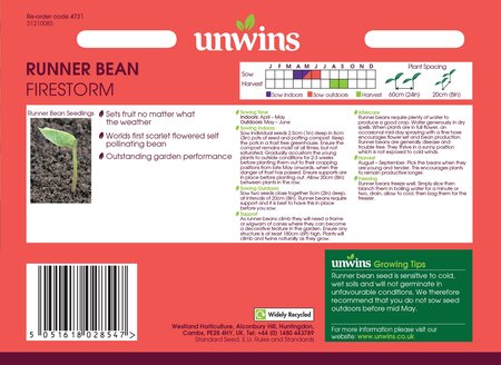 Runner Bean Firestorm - image 2