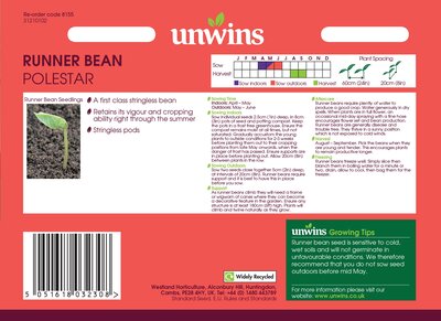Runner Bean Polestar - image 2