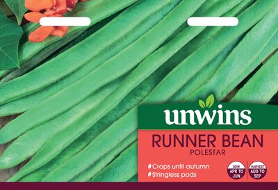 Runner Bean Polestar - image 2
