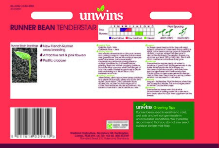 Runner Bean Tenderstar - image 2