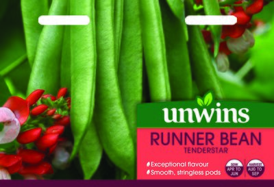 Runner Bean Tenderstar - image 1