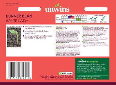 Runner Bean White Lady - image 2