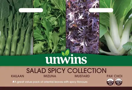 Salad Spicy Collection Pack
