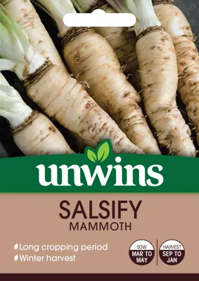 Salsify Mammoth - image 1