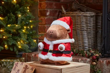 Santa Capybara - Large - image 1