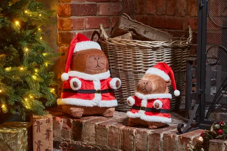 Santa Capybara - Large - image 2