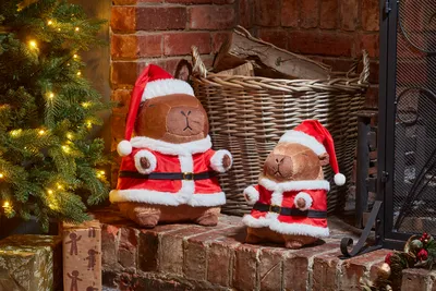 Santa Capybara - Large - image 2