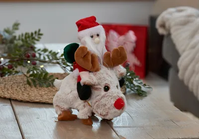 Santa Ride! - image 2