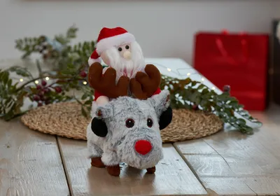 Santa Ride! - image 3