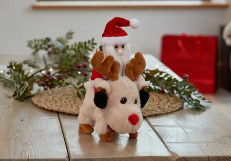 Santa Ride! - image 4