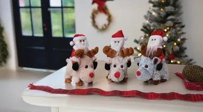 Santa Ride! - image 1